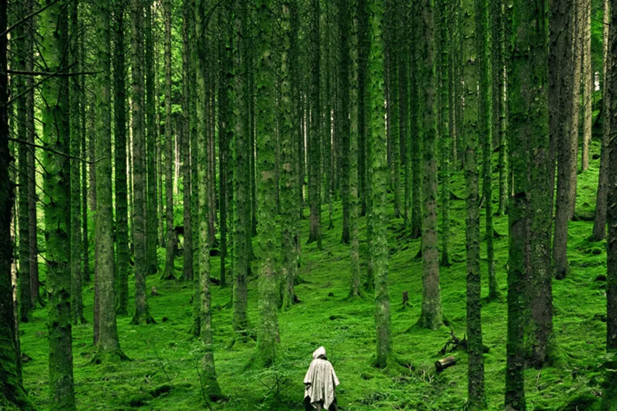 Test Redirects (dt) featured image