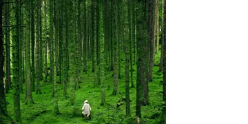 Test Redirects (dt) logo